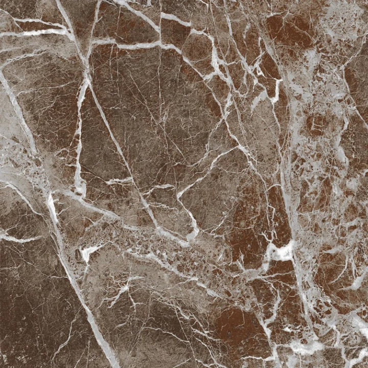 Apollo Tile Regalia Rosso Levanto 24-in x 24-in Matte Porcelain Encaustic Floor and Wall Tile product image