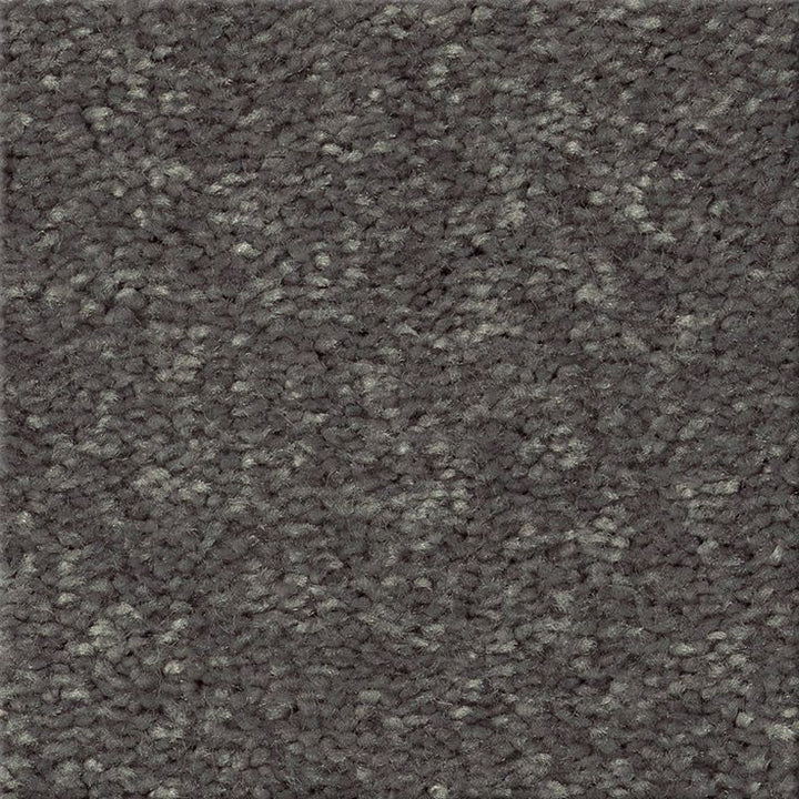 STAINMASTER Essentials Blue Diamonds I 15-ft Iron Textured Carpet (Indoor)