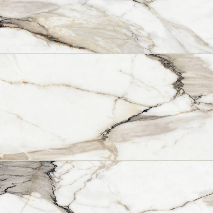 Satori Calacatta Dorado 24-in x 48-in Honed Porcelain Marble look Floor and Wall Tile product image