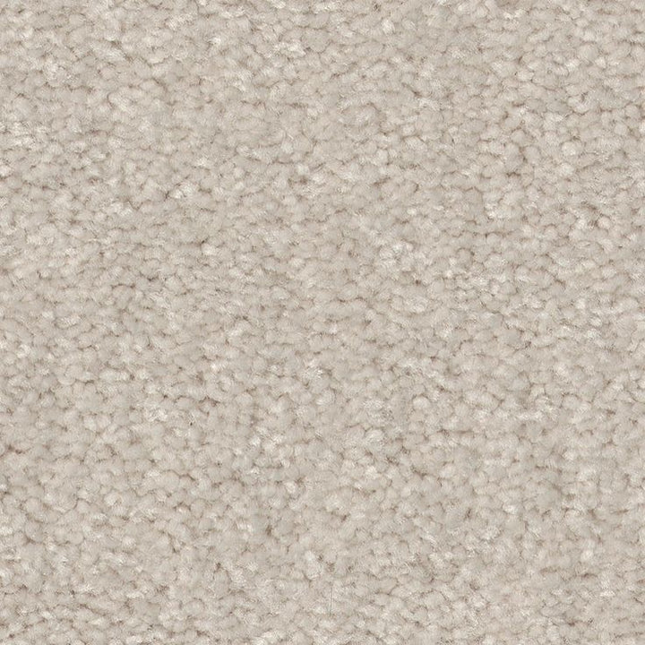 STAINMASTER Essentials Blue Diamonds II 12-ft Minimalist Textured Carpet (Indoor)