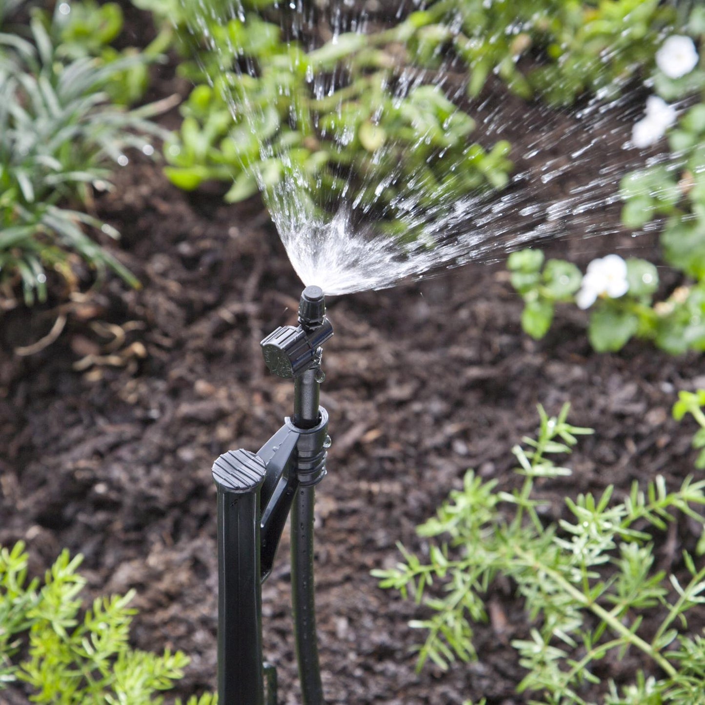 Raindrip Quarter-Circle Drip Irrigation Micro Spray 20 GPH