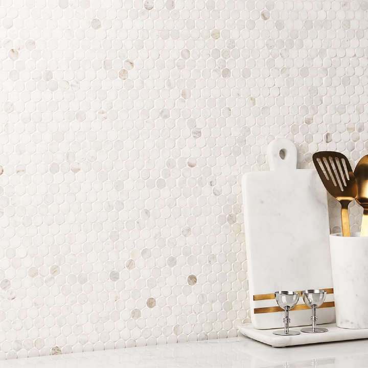 Alaska White 3/4" Penny round Polished Mosaic Tile