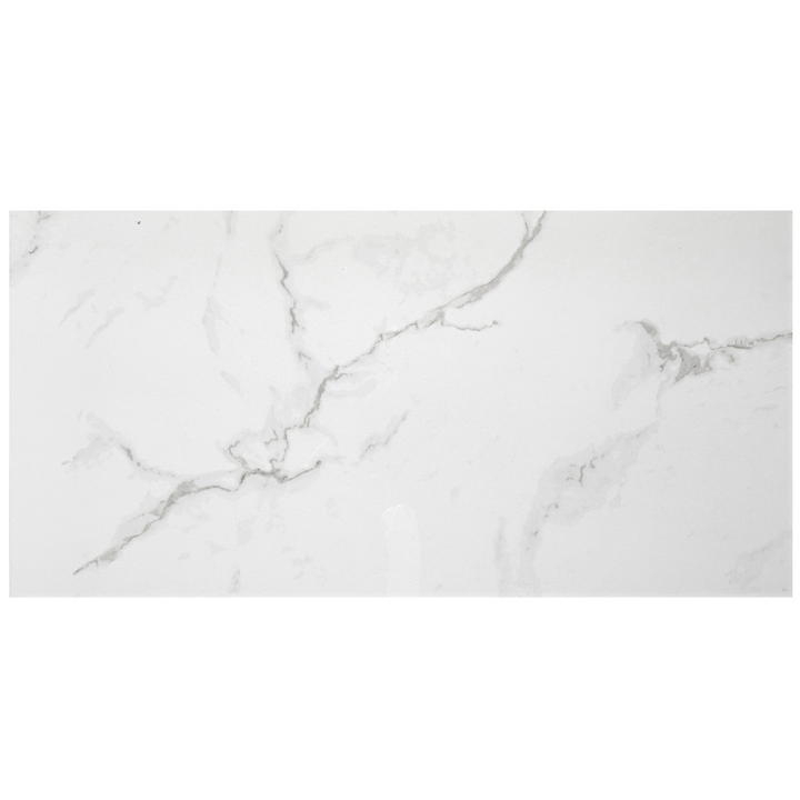 Calacutta Bianco Gloss Porcelain Wall and Floor Tile - 12 x 24 in.