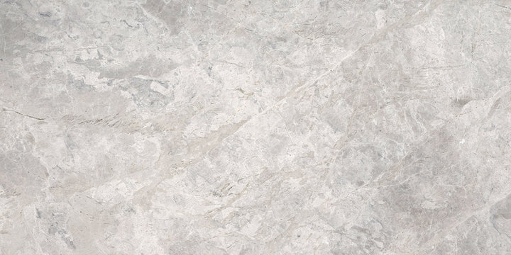 Emser Marble Silver 25-Pack Silver 4-in x 8-in Polished Natural Stone Floor and Wall Tile