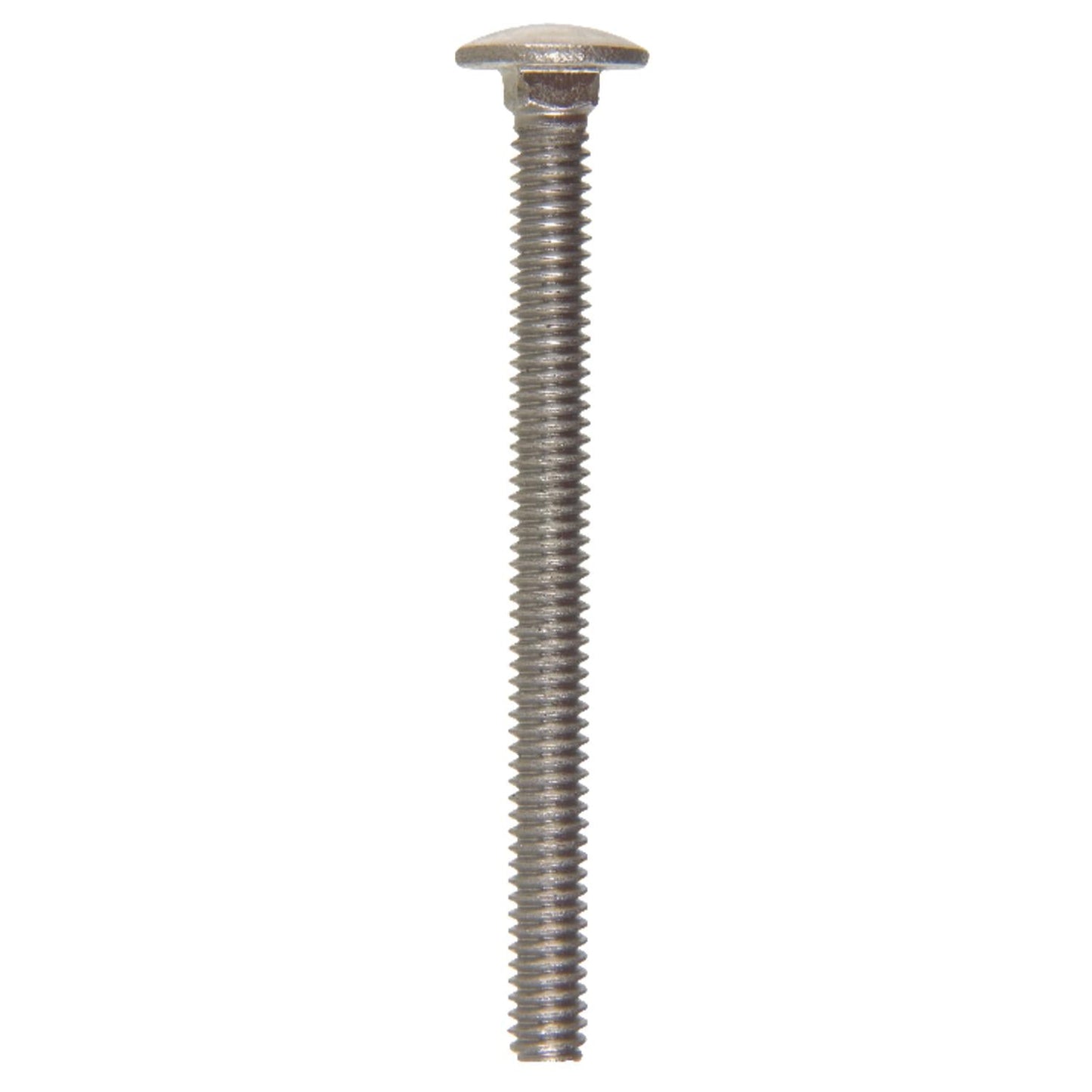 Hillman 1/4 in. x 3 in. Stainless Steel Carriage Bolt (25-Pack)