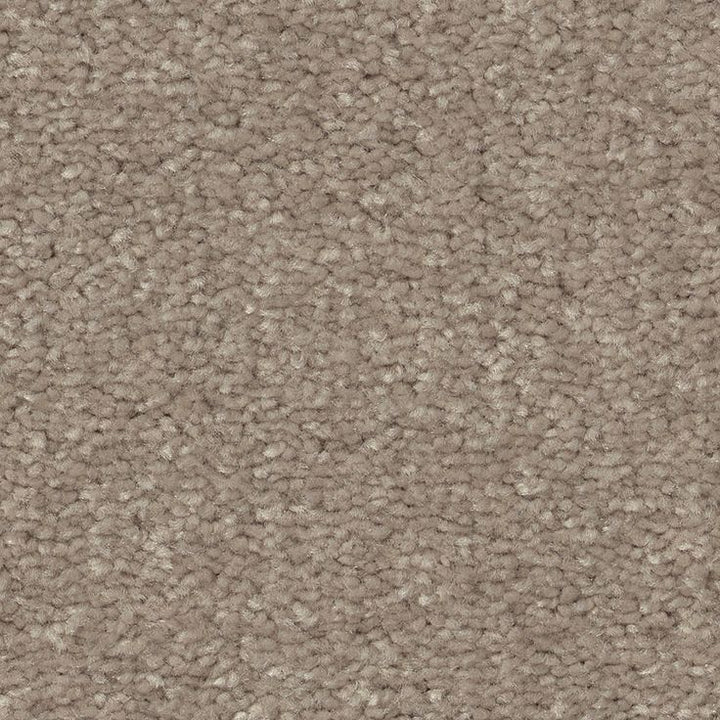 STAINMASTER Essentials Blue Diamonds II 12-ft Natural Contour Textured Carpet (Indoor)