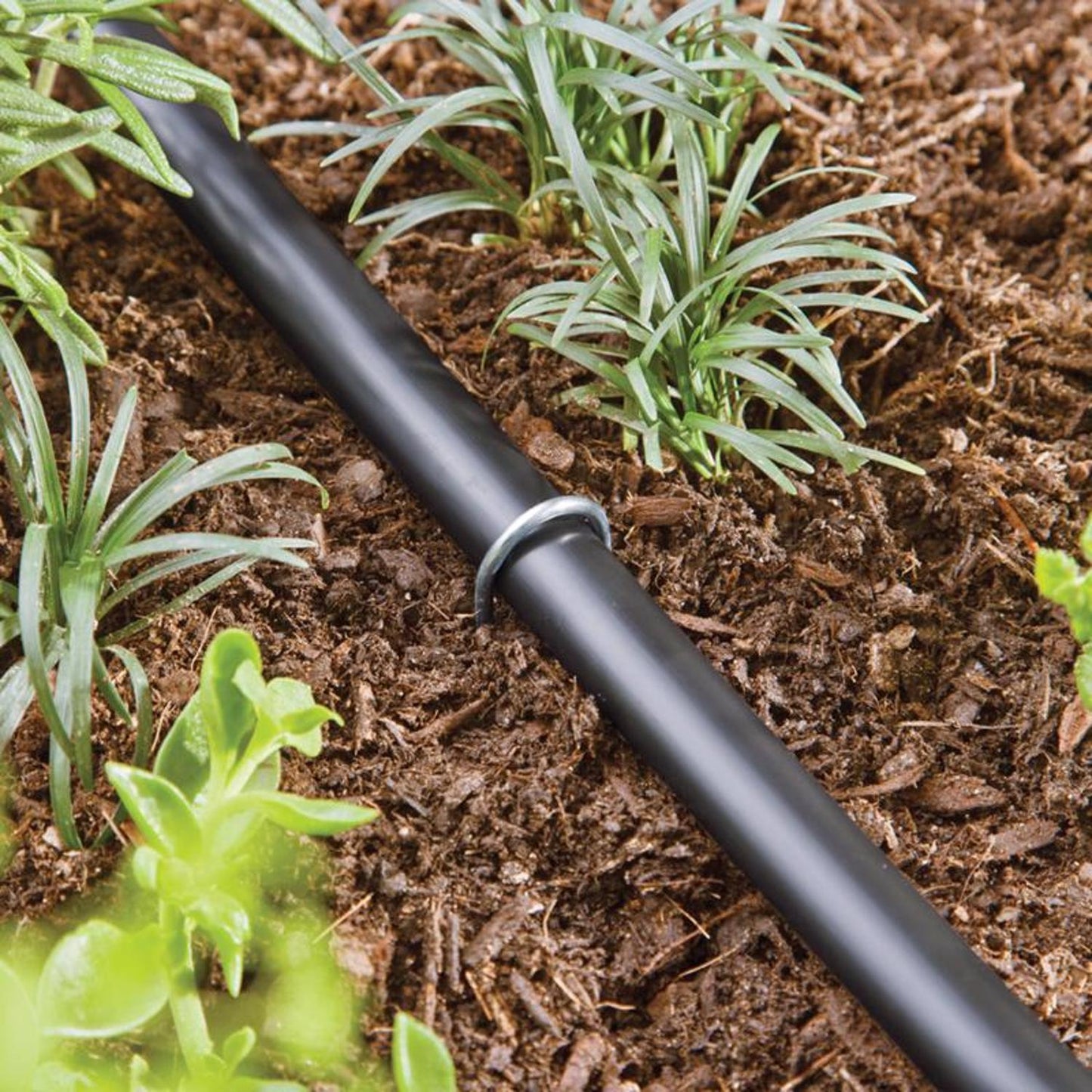 Raindrip Drip Irrigation Tubing Stake, 8 in. Height, 15-Pack