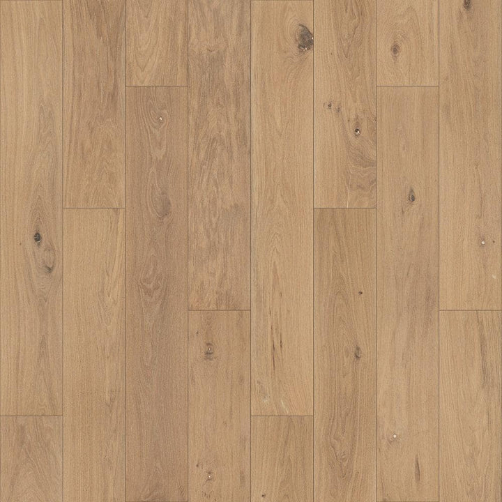 Pergo Defense+ Beachwood Park Oak 3/8 in. T x 7.5 in. W Click Lock W Brushed Engineered Hardwood Flooring (24.5 sq.ft./case)