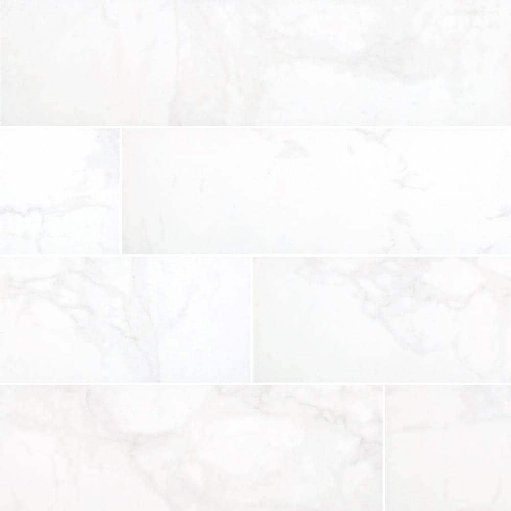 Carrara 24 in. x 24 in. Polished Porcelain Floor and Wall Tile (16 sq. ft. / case) - Super Arbor
