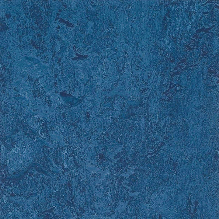 Marmoleum Cinch Loc Seal Blue 9.8 mm Thick x 11.81 in. Wide X 11.81 in. Length Laminate Floor Tile (6.78 sq. ft/Case)