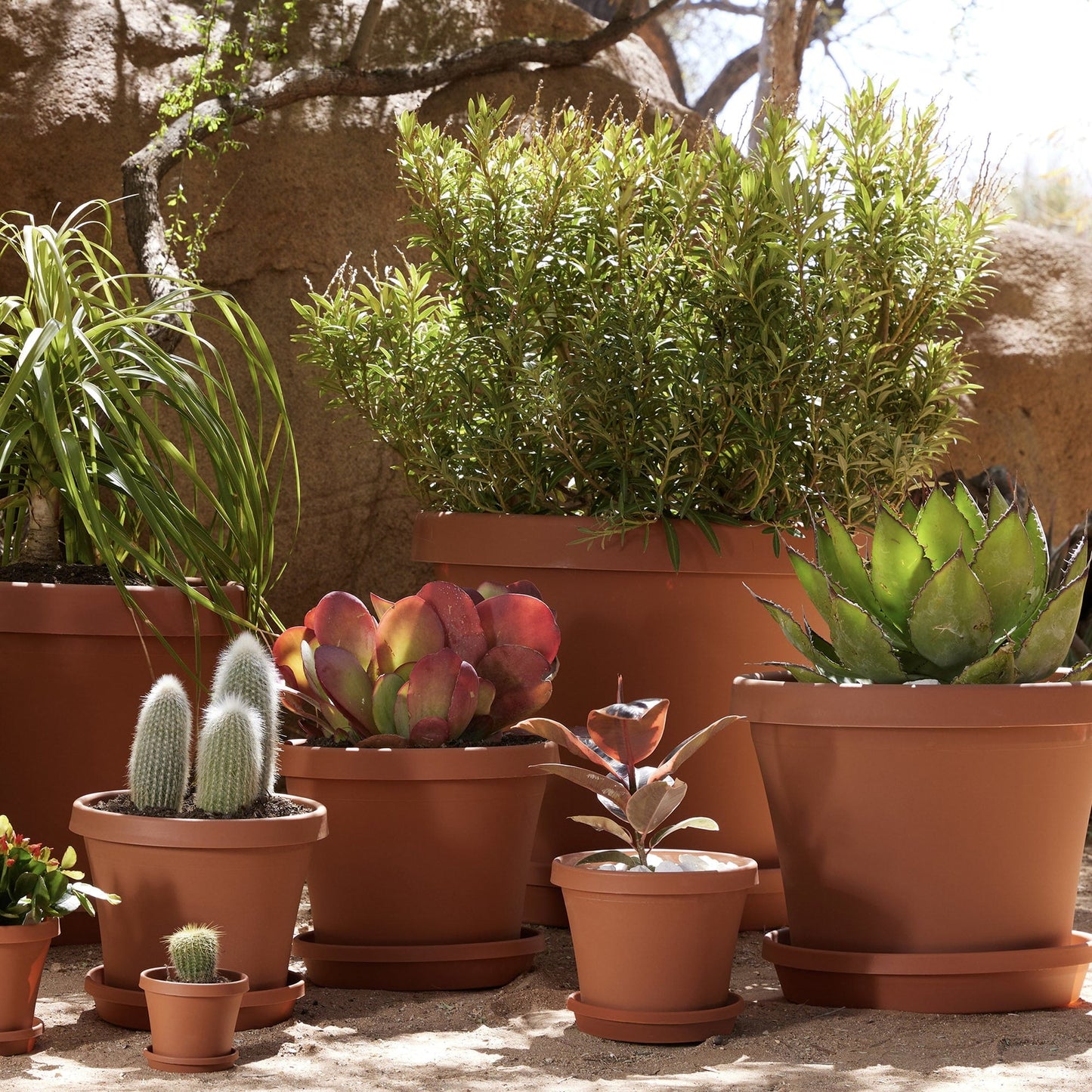 Bloem Terrapot 17.2 in. H x 20 in. Dia. Resin Traditional Planter Terracotta Clay
