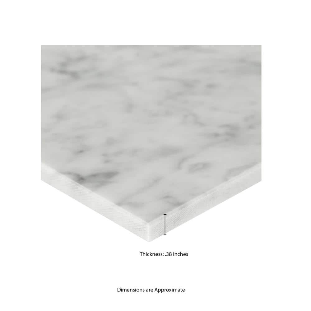 MS International Bianco Carrara 12 x 12 Marble Floor and Wall Tile