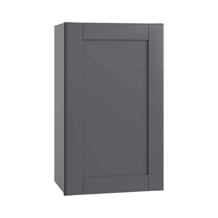 Home Decorators Collection Washington 21 in. W x 12 in. D x 36 in. H Assembled Plywood Wall Kitchen Cabinet in Valiant Onyx with Soft Close Door