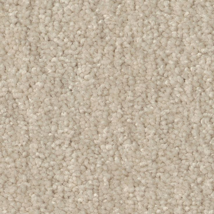 STAINMASTER Essentials Blue Diamonds II 12-ft Bleached Textured Carpet Sample (Interior)