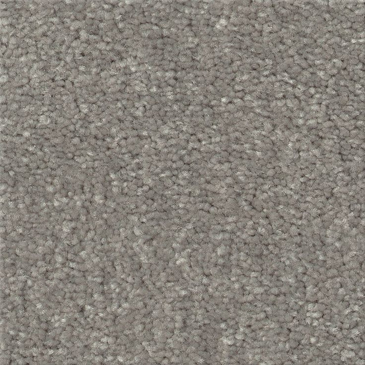STAINMASTER Essentials Blue Diamonds II 12-ft Taupe Stone Textured Carpet (Indoor)