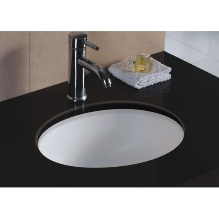 Wells 17 in. x 14 in. x 8 in. Oval Vitreous Ceramic Lavatory Single Bowl Undermount in White
