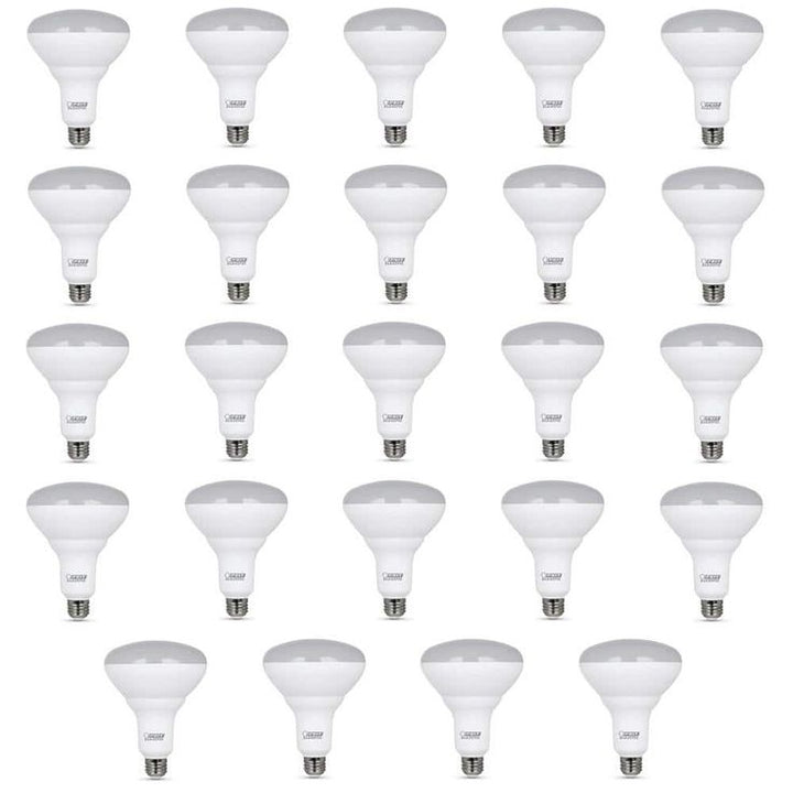 Feit Electric 65-Watt Equivalent (5000K) BR40 Dimmable LED Light Bulb, Daylight (24-Pack)