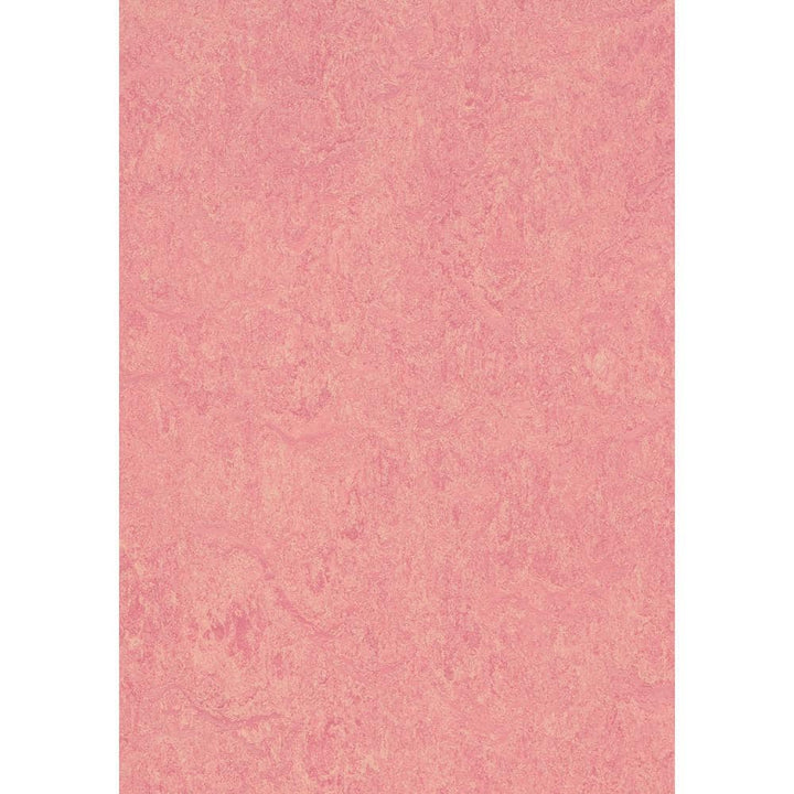 Marmoleum Cinch Loc Seal Honey Suckle 9.8 mm T x 11.81 in. W x 11.81 in. L Laminate Flooring (6.78 sq. ft./case)