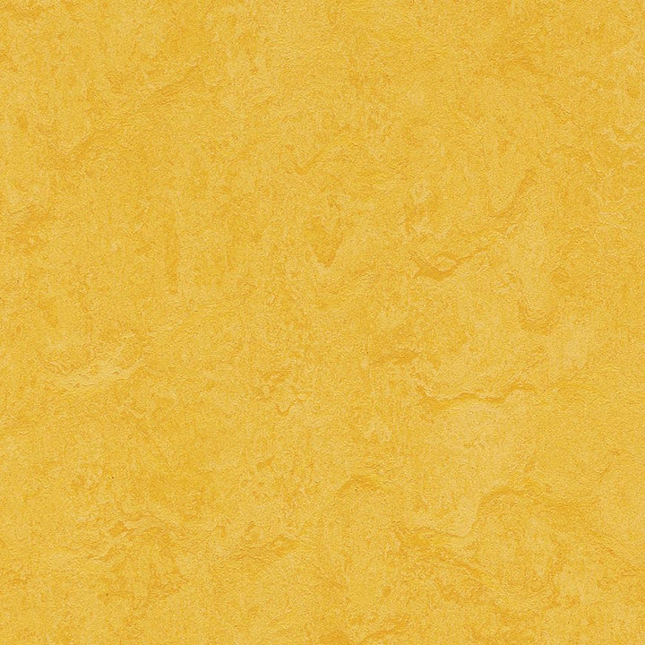 Marmoleum Cinch Loc Seal Lemon Zest 9.8 mm Thick x 11.81 in. Wide X 35.43 in. Length Laminate Floor Tile (20.34 sq. ft/Case)