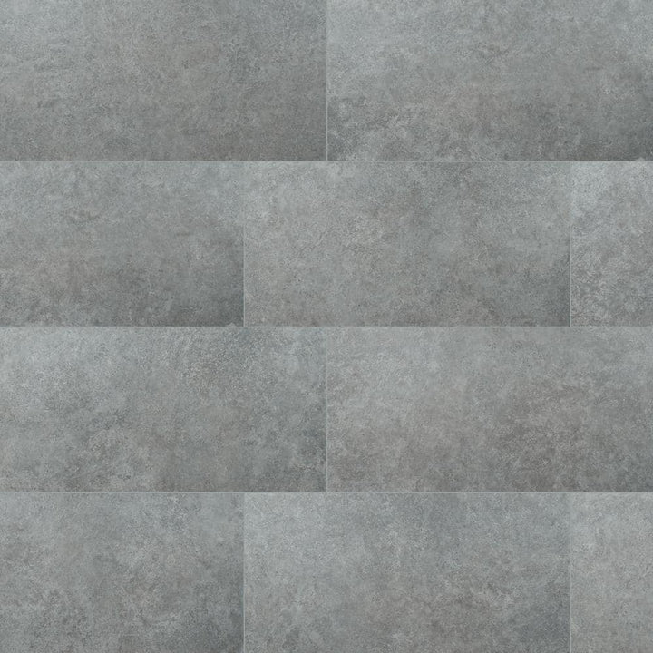 MSI Take Home Tile Sample - Lunar Silver 6 in. x 6 in. Matte Porcelain Paver Floor Tile (0.25 sq. ft.)