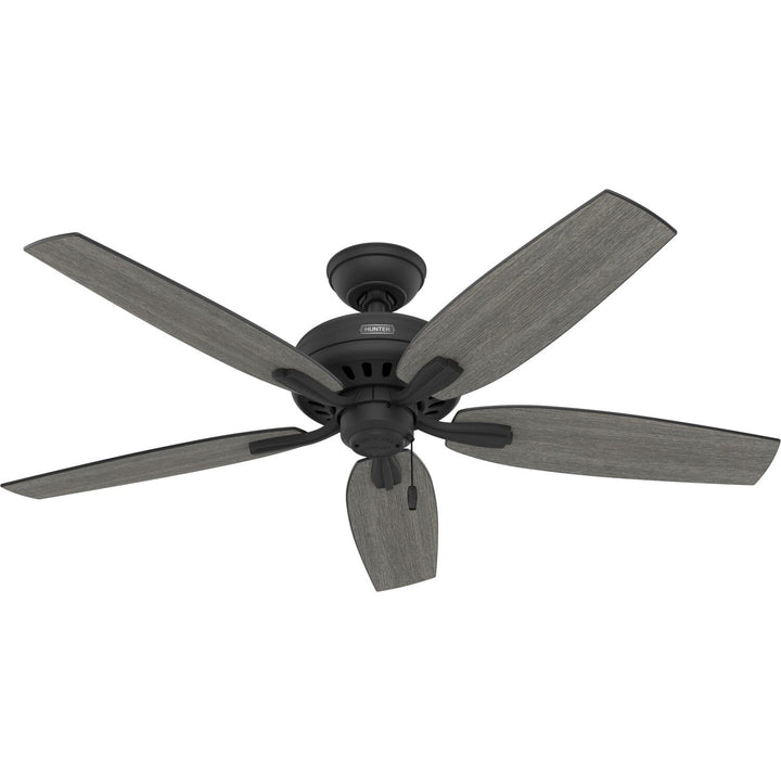 Hunter Newsome 52-in Matte Black Indoor/Outdoor Ceiling Fan, 5-Blade