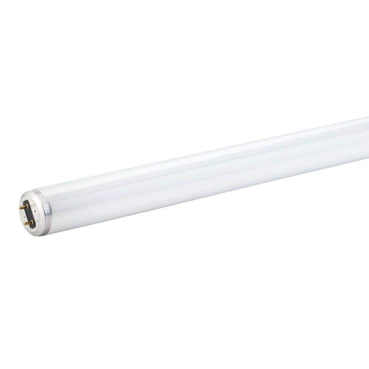 Philips 15-Watt 18 in. Linear T8 Fluorescent Tube Light Bulb, Cool White 4100K