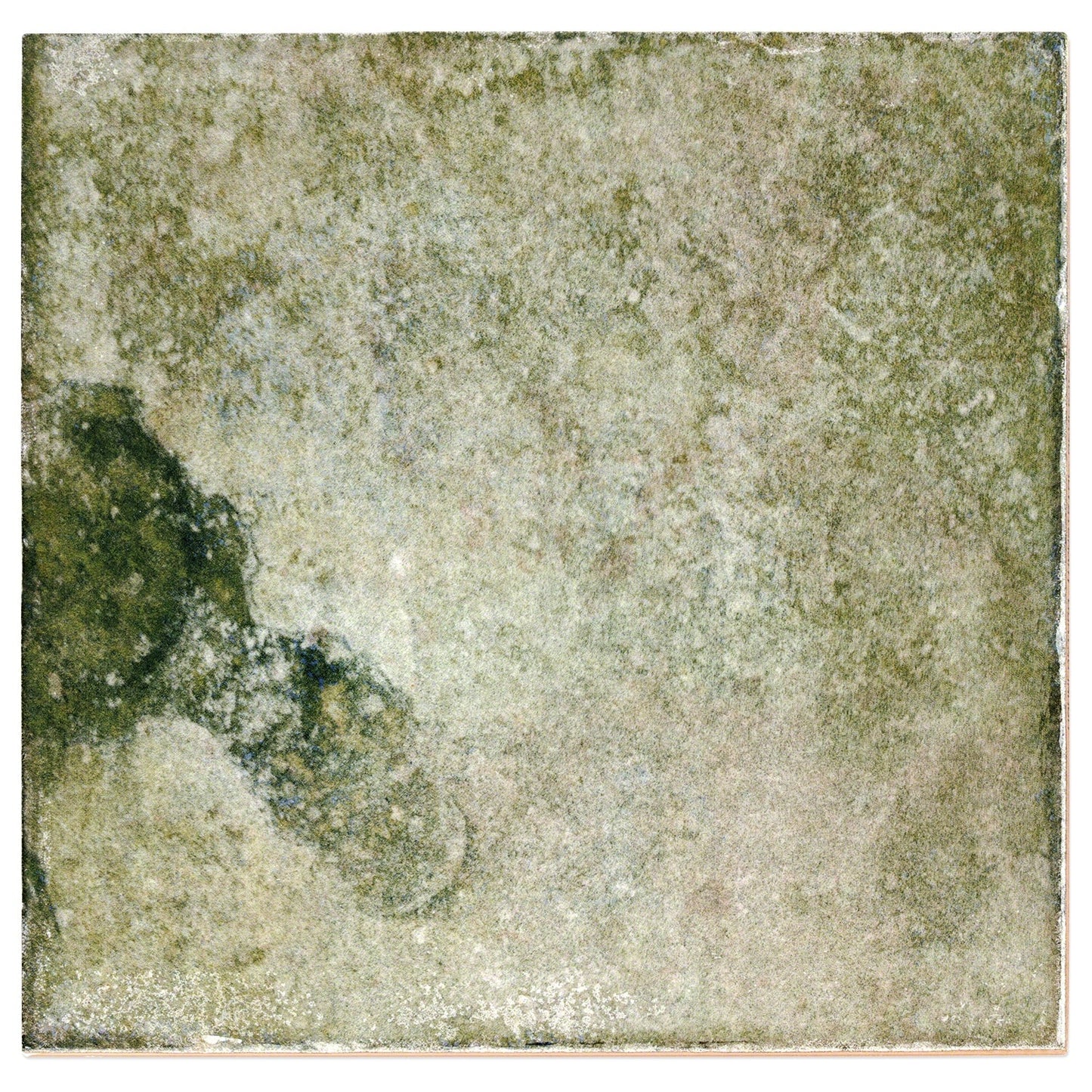 Angela Harris Dunmore Green 8x8 Polished Ceramic Wall Tile