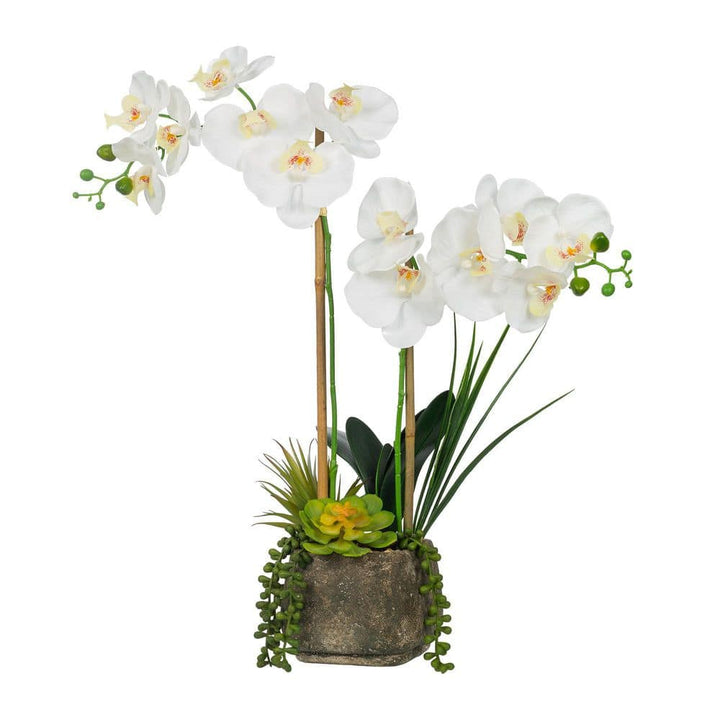 Vanity Art 23. 23 in. H Artificial Phalaenopsis Orchids with Succulents Floral Arrangement in Pot