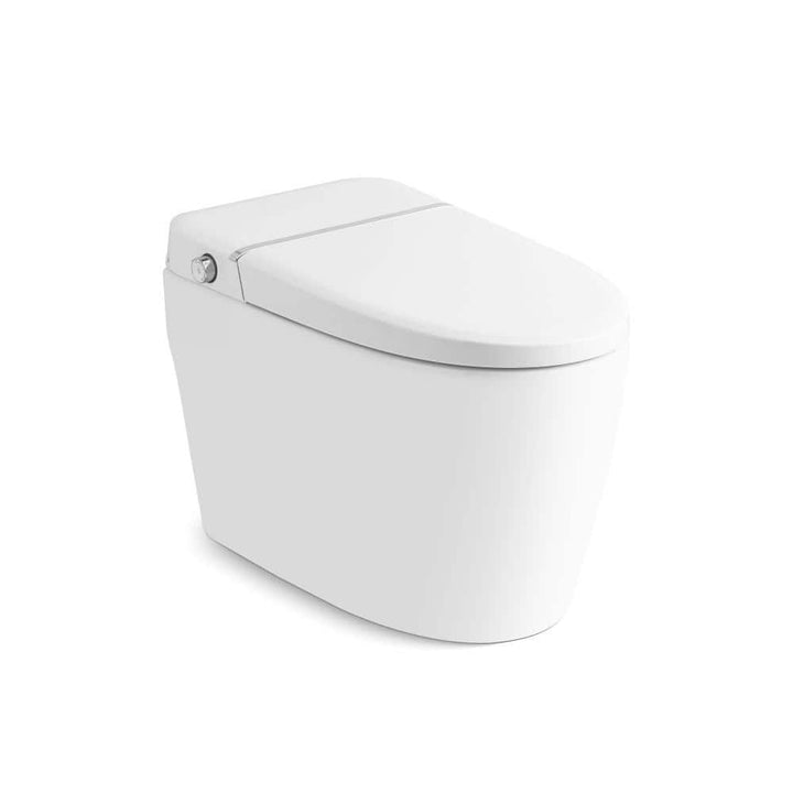 Elongated Smart Bidet Toilet with Auto Flush, Adjustable Settings in White