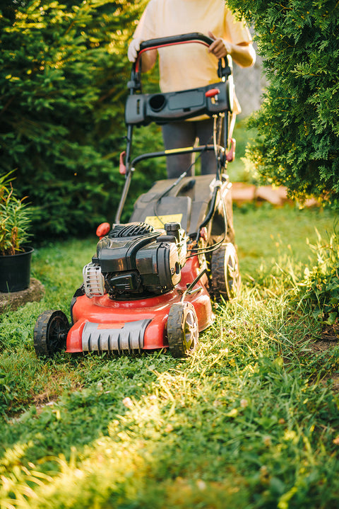 Lawn & Garden - Super Arbor