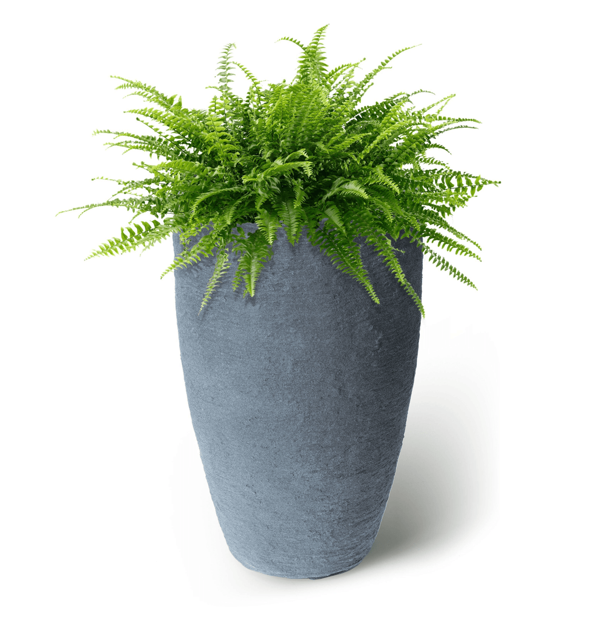 Algreen Products - Super Arbor