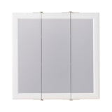 Project Source 24.25-in x 24-in Surface Mount White Mirrored Medicine Cabinet