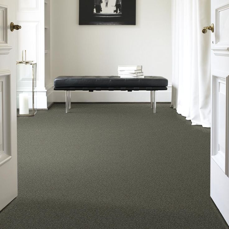 STAINMASTER PetProtect Baxter I Winston Textured Carpet (Indoor)