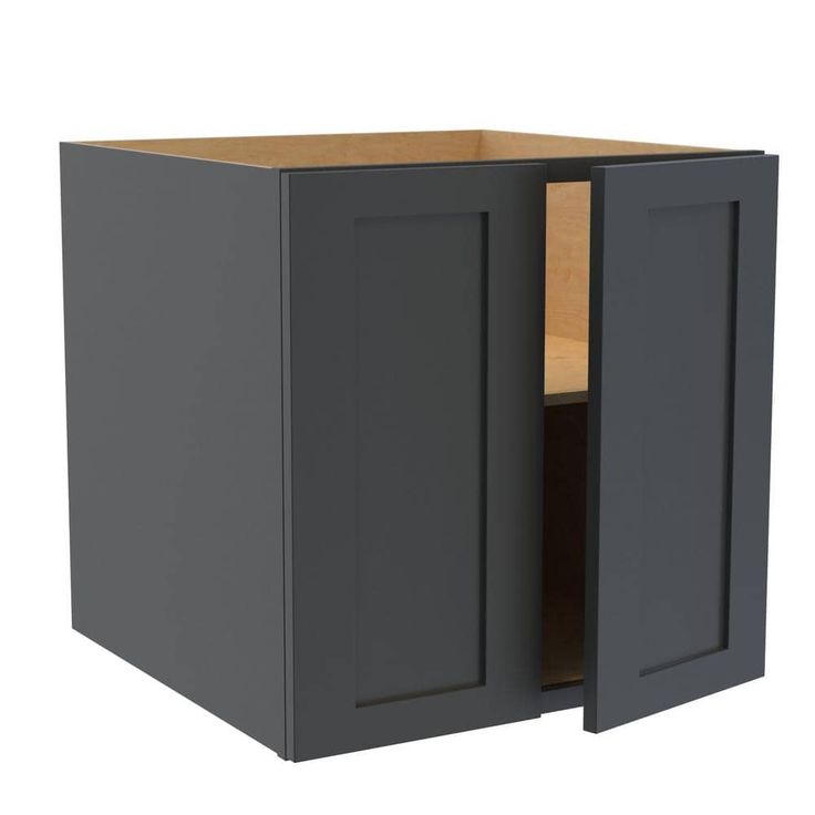 Home Decorators Collection Newport 24 in. W x 24 in. D x 24 in. H Assembled Plywood Wall Bridge Kitchen Cabinet in Deep Onyx with Soft Close