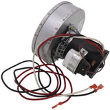 Goodman-Amana 0131L00002S blower motor - label view (Product Type: Blower Motor)