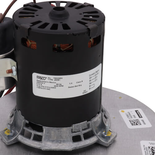 Goodman-Amana 0131L00002S blower motor - detail view (Product Type: Blower Motor)