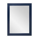 Home Decorators Collection Sturgess 24 in. W x 32 in. H Rectangular Medicine Cabinet with Mirror