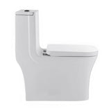 Concorde 1-Piece 0.8/1.28 GPF Dual Flush Square Elongated Toilet in White - Super Arbor