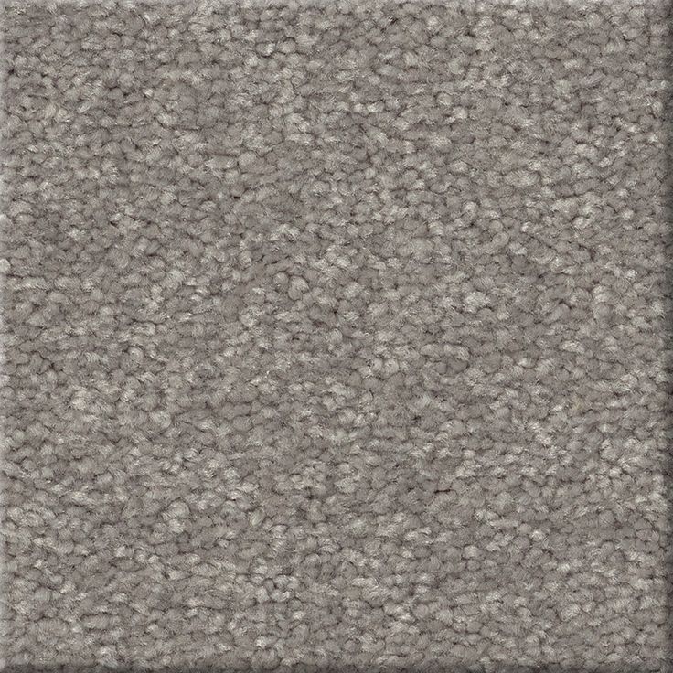 STAINMASTER Essentials Blue Diamonds I 12-ft Dusty Trail Textured Carpet (Indoor)