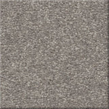 STAINMASTER Essentials Blue Diamonds I 12-ft Dusty Trail Textured Carpet (Indoor)