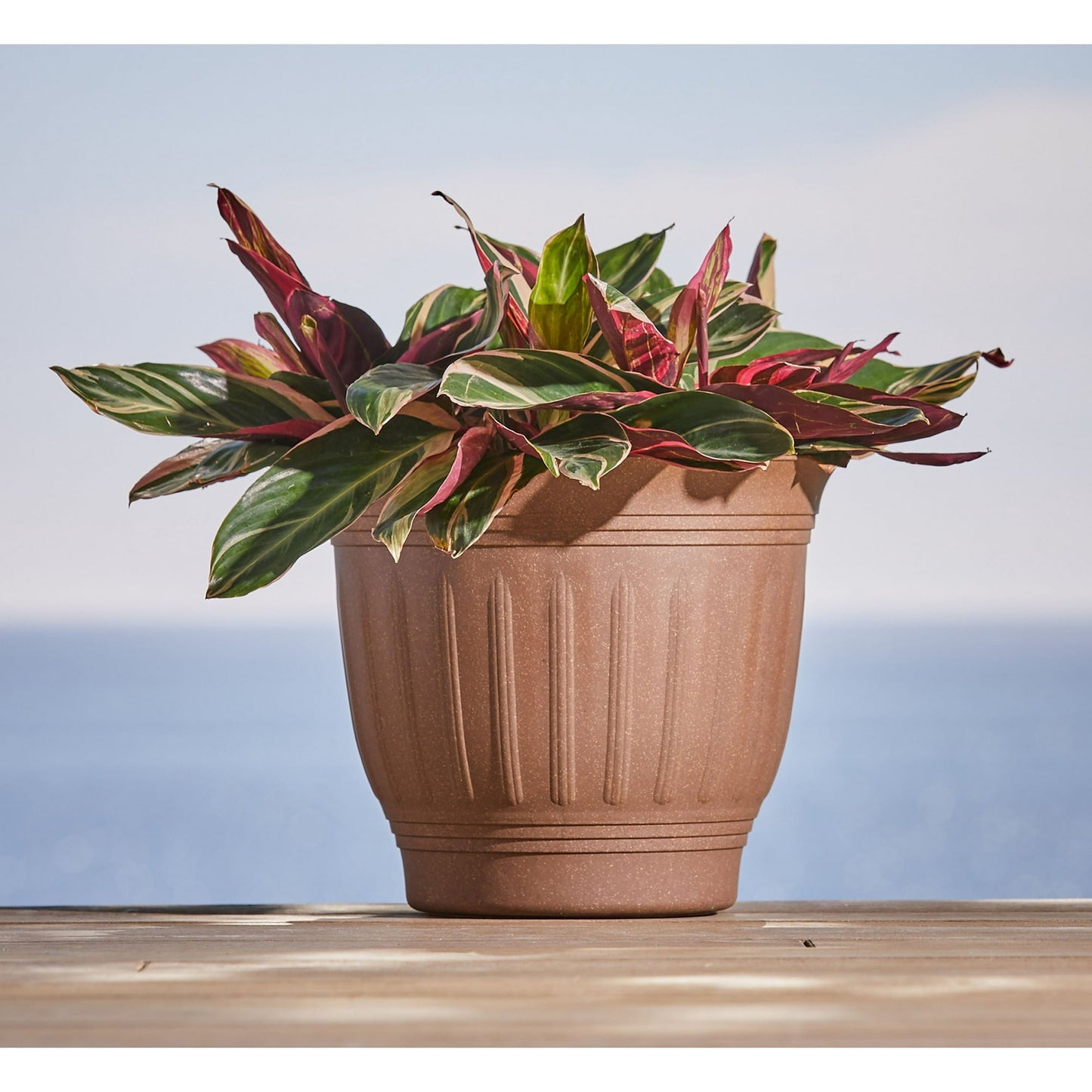 Bloem Colonnade Wood Resin Planter 8" Dark Earth