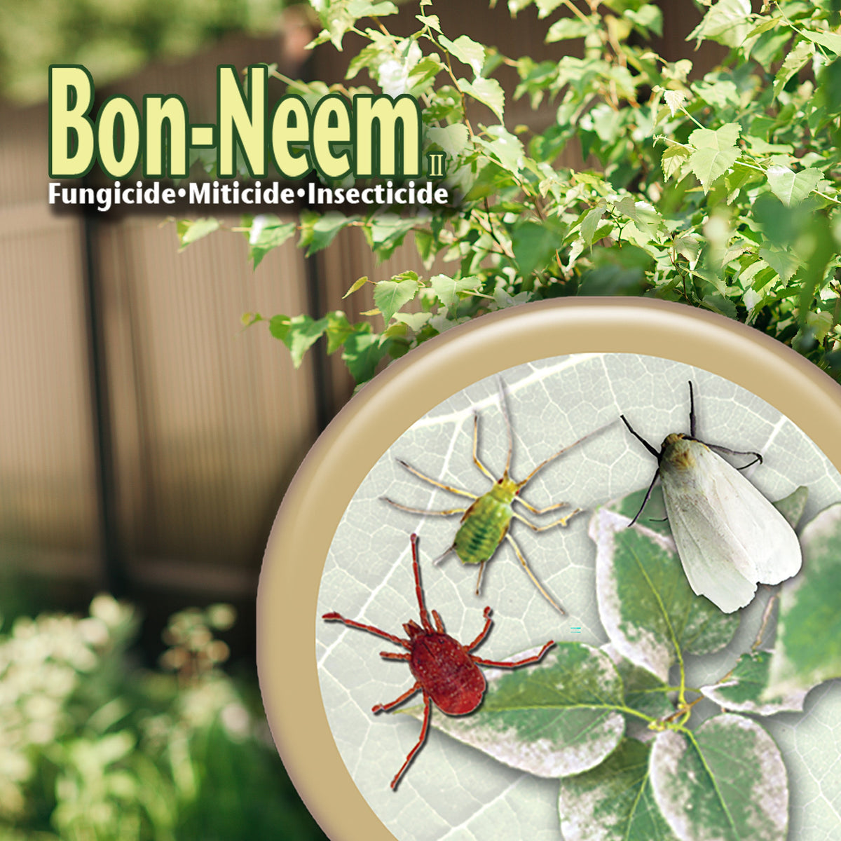 Bonide Bon-Neem II Ready-to-Use Organic Liquid Fungicide, Insecticide & Miticide, 32 oz (Quart)