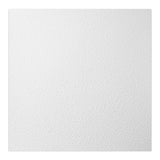 Genesis 2-ft x 2-ft Stucco Pro White PVC Drop Ceiling Tile (1-Pack, 4-sq ft / Case)