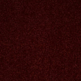 STAINMASTER Essentials Intuition II 15-ft Apache Red Textured Indoor Carpet
