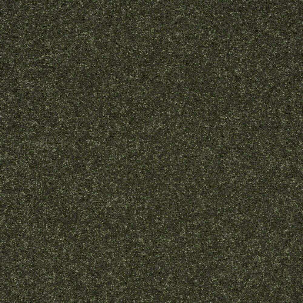 STAINMASTER Essentials Intuition II 15-ft Passion Vine Textured Indoor Carpet