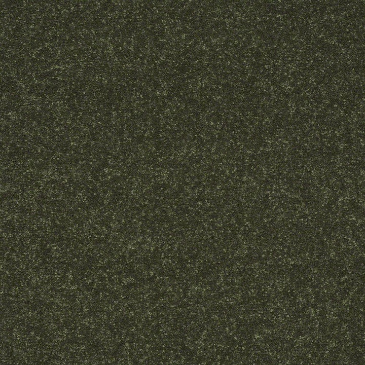 STAINMASTER Essentials Intuition II 15-ft Passion Vine Textured Indoor Carpet