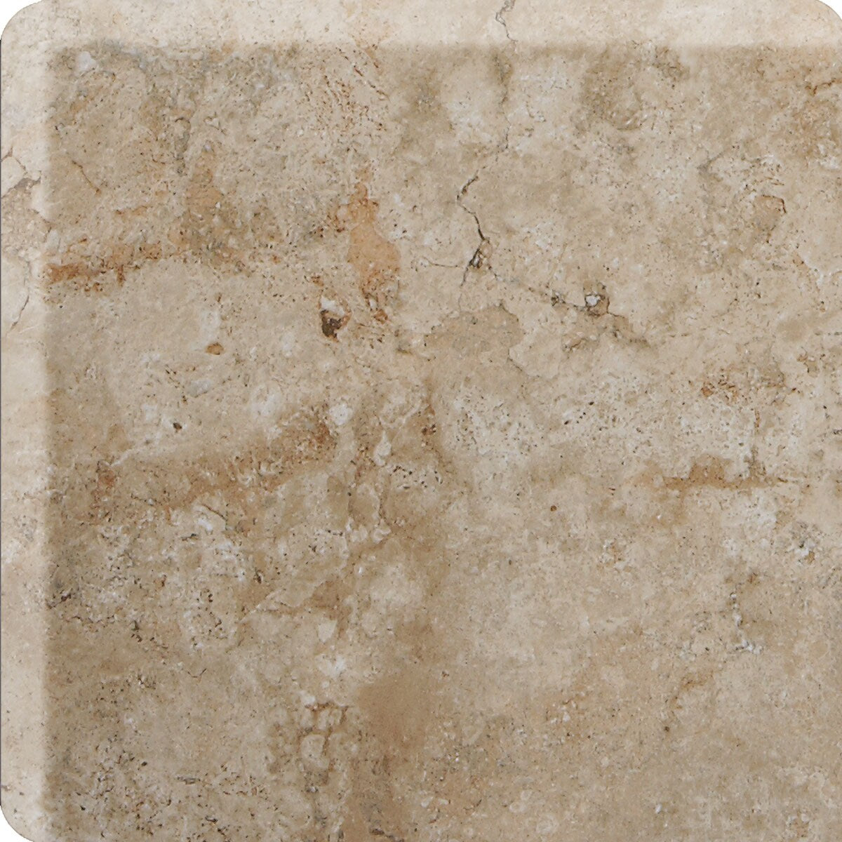 American Olean Bordeaux Chameau Ceramic Bullnose Tile (4-in x 8-1/2-in)