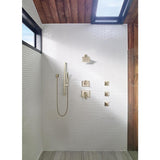 Delta 0.5-in Stainless Bathtub/Shower Diverter - Super Arbor
