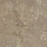 Formica Brand Laminate Patterns 48-in W x 96-in L Mocha Travertine Matte Laminate Sheet