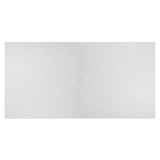 Genesis 4-ft x 2-ft Printed Pro White PVC Drop Ceiling Tile (1-Pack, 8-sq ft / Case)